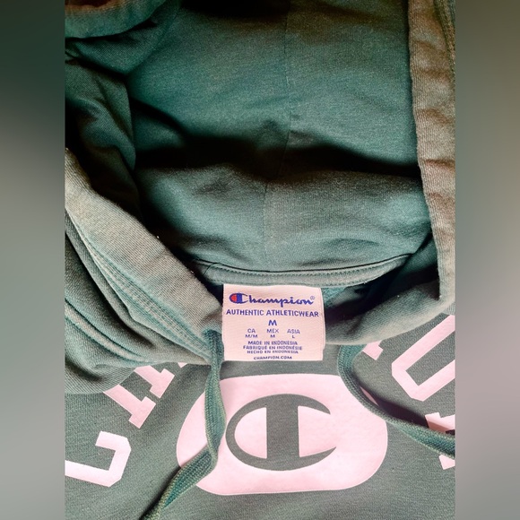🔴Champion Hoodie Men's Medium Hunter Green Vintage Wash - Picture 3 of 6